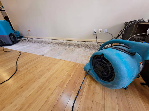 Professional Flood Damage Cleanup technician working in Candler, NC